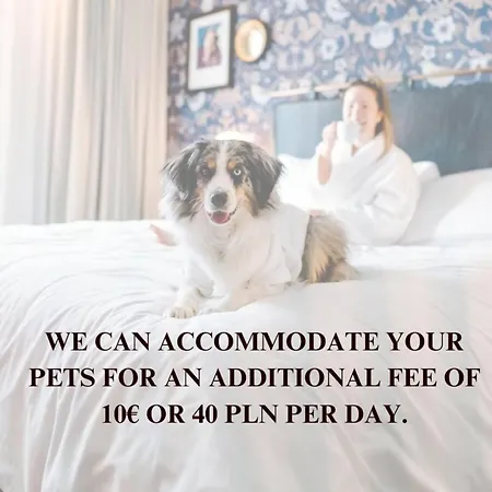 Daire Lumina On The Old Square Near The Royal Castle